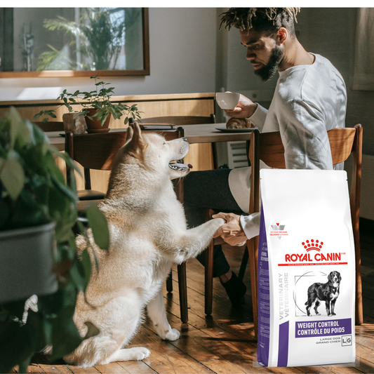 Royal Canin Weight Control Large Dog 11 Kg